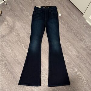 Hudson Holly High Rise Flare - Tourmaline